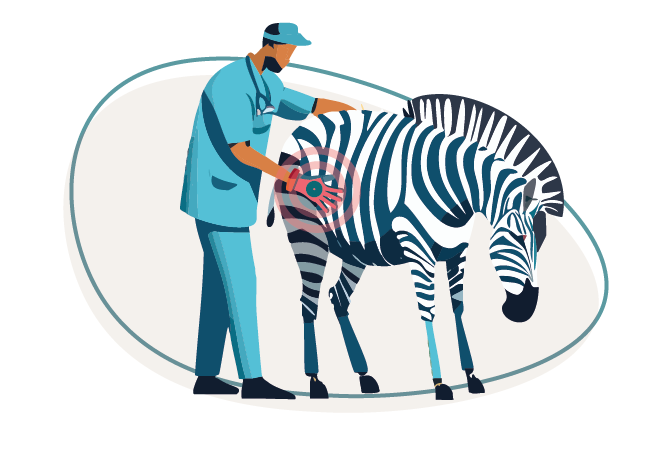 Illustration of a veterinarian observing a zebra