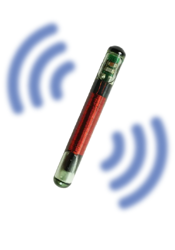 Image of the BioPetSensor Health implant